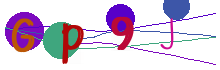Captcha immagine