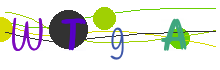 Actualizar captcha
