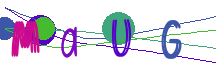 Actualizar captcha