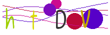 Captcha immagine