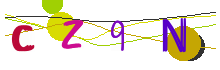 Captcha immagine
